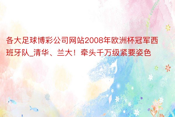 各大足球博彩公司网站2008年欧洲杯冠军西班牙队_清华、兰大！牵头千万级紧要姿色